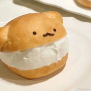 多吃一点小布丁