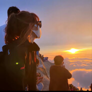 九命狐狸不是猫