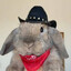 Bunny Cowgirl