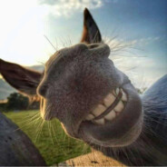 干嚼咖啡不加糖