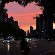 花园宝宝第一突破口胖虎