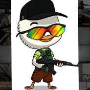CaptainPollo