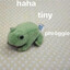 Totally Frogtacular