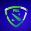 PGL_95