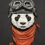 pandaMAN