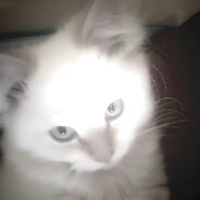 #!𝐊𝐚𝐳𝟏𝐤𝟕𝟕 avatarı