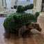 Level9Turtle