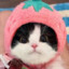 Android22.5