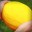 Szpadel__