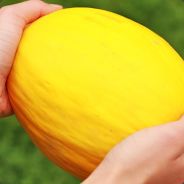 Szpadel__