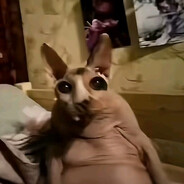 ХачуШаурму