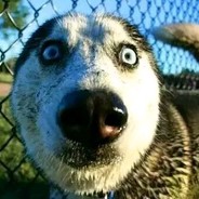 正道的光 照在了大地上