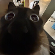 BOOBLYA