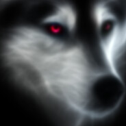 HEALTHDOG avatar