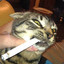 A Placid Stoner