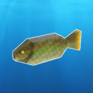 Carp4