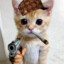 Lloyd1_kun