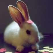 凯德·泽华一世大大帝