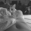 SHIZUS_88