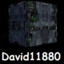 David11880