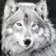 幸运熊猫★★★