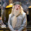 Albus dumbledore