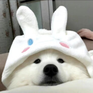 美式咖啡不加糖