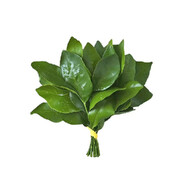 胶囊好吃不好吃