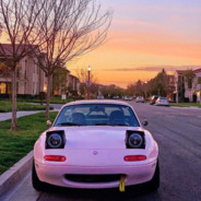 吾本端庄，奈何骚气