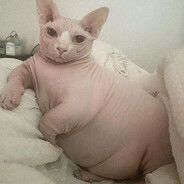 Кулбаев Аслан