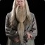 Albus P. W. B. Dumbledore
