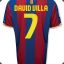 david villa