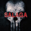 Salaga