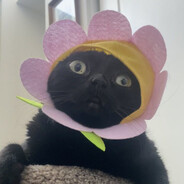 Андрюха Боров