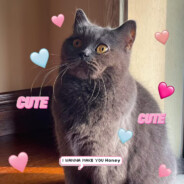 腊月的忠诚信徒