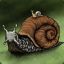 Escargot