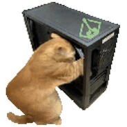 Mr. Haquimera (Servicio tecnico)