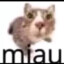 miau