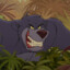 Mr.Baloo