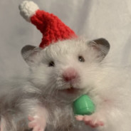 超级小🐏饲养员