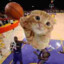 BallinCat