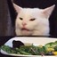 saladcat