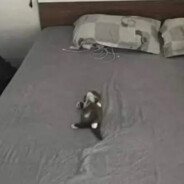 фуркледужье