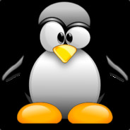 oPfer. - steam id 76561197960494659