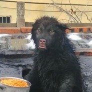 犹豫就会败北 果断就会