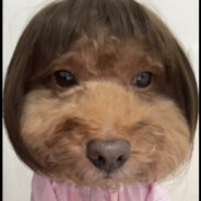 我为甜妹而生奥