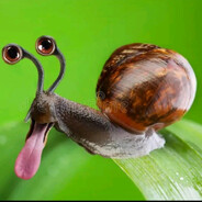 бих боб орешки