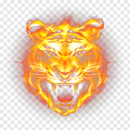ST1NG3R