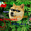 MLG_DOGE