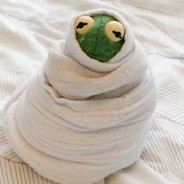 是非不分大青蛙